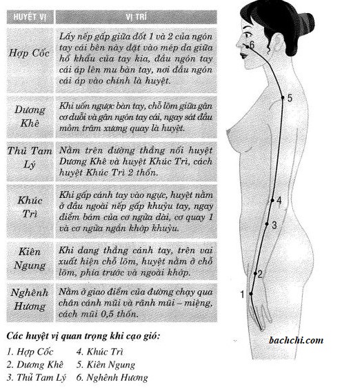 Cách xác định huyệt cạo gió