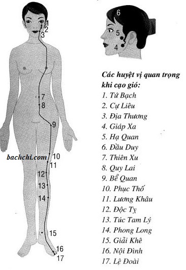 Cách xác định huyệt cạo gió