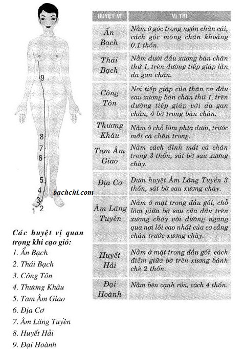 Cách xác định huyệt cạo gió