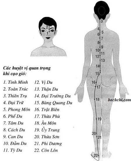 Cách xác định các huyệt cạo gió