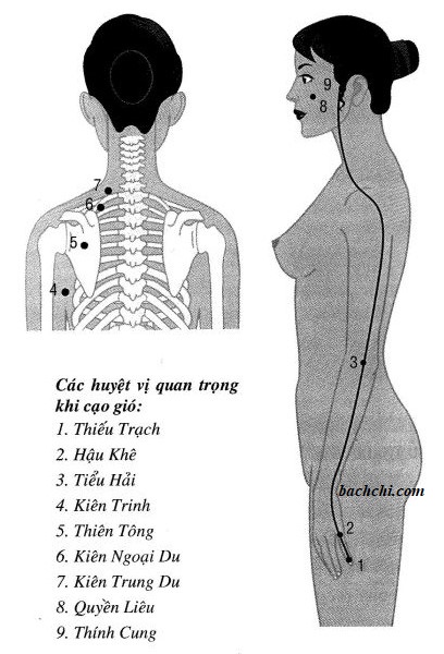 Cách xác định các huyệt cạo gió
