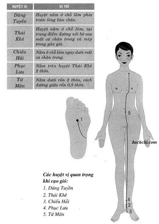 Cách xác định các huyệt cạo gió