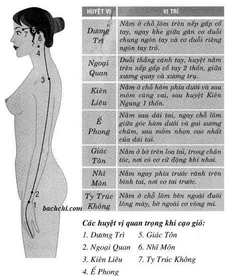 Cách xác định các huyệt cạo gió