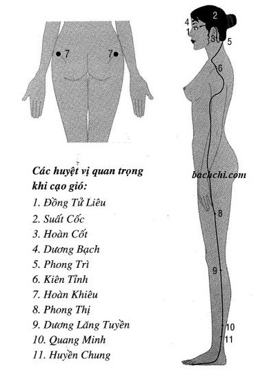 Cách xác định các huyệt cạo gió
