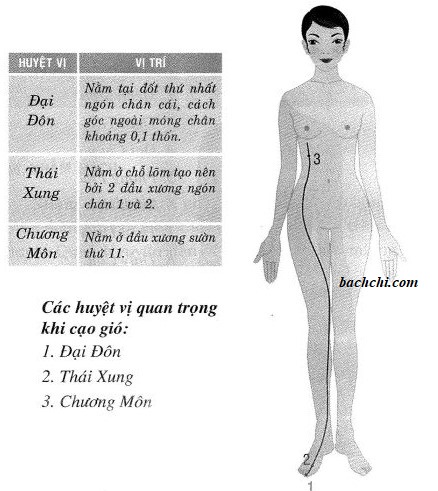 Cách xác định các huyệt cạo gió