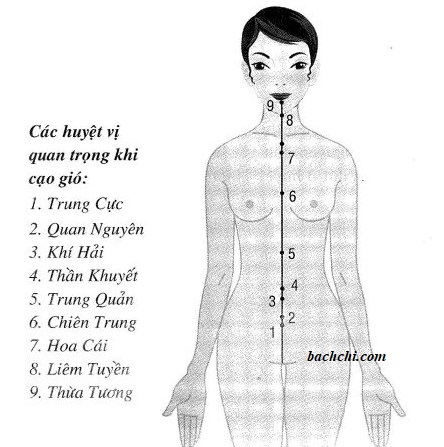Cách xác định các huyệt cạo gió